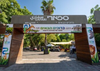 ילדי עובדי בזק בינלאומי חגגו את העלייה לכיתה א' בספארי